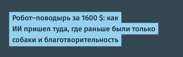 Робот-поводырь за 1600 $: как ИИ пришел туда, где раньше были только собаки и благотворительность