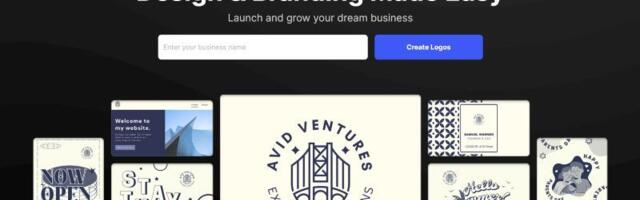 Bring your brand to life this Black Friday- get 88% off premium logo packages at Design.com