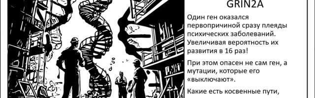 [Перевод] Генетическая первопричина психических заболеваний?