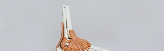 Finnish medical software company acquired by Paragon 28