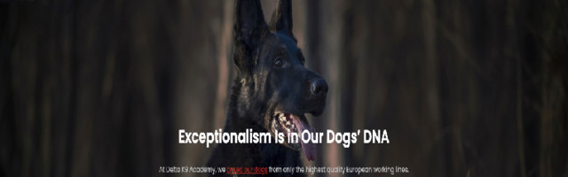 Delta K9 Academy – Our training methods are based on trust & respect
