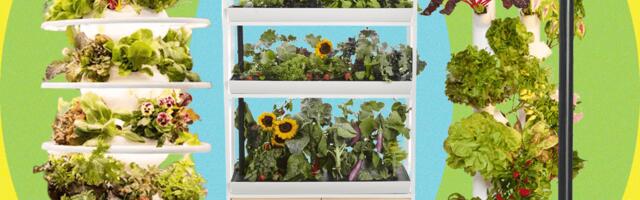 Best Indoor Garden Systems: We've Been Testing All Year (2025)