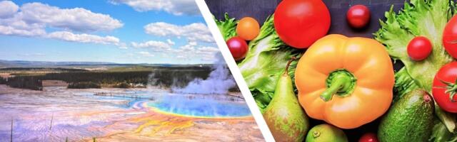 Which of these affordable Hisense and TCL mini-LED TVs should you buy this Black Friday? We’ve tested both, and I know which one I’d pick