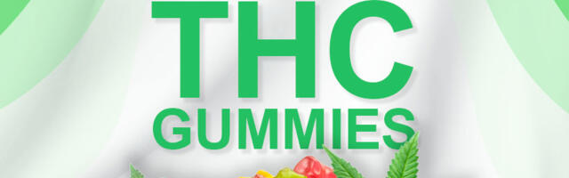 8 Best THC Gummies in 2024 for Pain Relief, Relaxation & Sweet Dreams