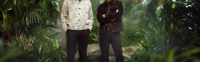 How to watch I'm a Celebrity 2025 — free streams from anywhere