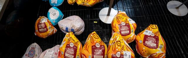 Whatever the forecasts say, shoppers are treating this Thanksgiving like a budget holiday
