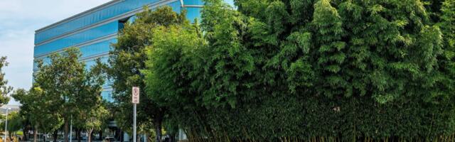 US stock futures slide after Oracle results disappoint