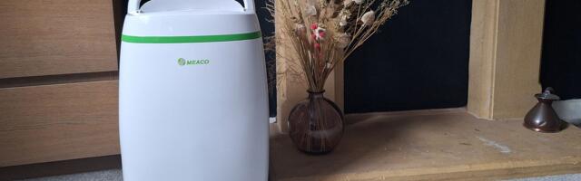 What are the pros and cons of using a dehumidifier in the winter?