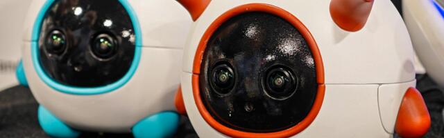 This robot companion is a cameraman for your pet