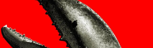 China’s OpenClaw Boom Is a Gold Rush for AI Companies