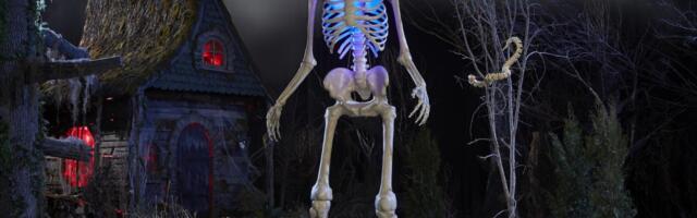 Home Depot’s 12-foot viral skeleton now talks