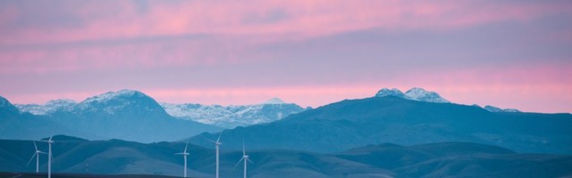 E.ON launches €250m fund for energy startups