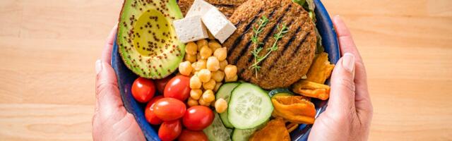 Your Visual Guide: Here's What 100 Grams of Protein Looks Like on Your Plate for Different Diets