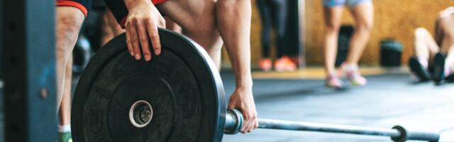 How MacroFactor Made Themselves a Standout in an Over-Saturated Fitness Market