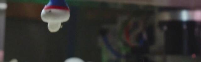 Five Canadian scaleups crack Thrive Top 50 AgTech Companies list