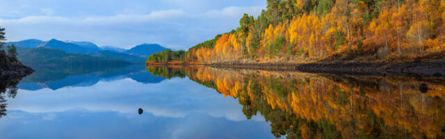 Affric Highlands recommended for re-wilding  UN flagship status