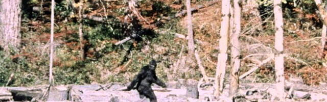 "It ain't no unicorn": These researchers have interviewed 130 Bigfoot hunters