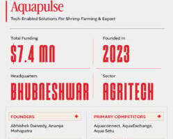 Fishing Bigger Margins: How Aquapulse Is Solving Shrimp Farming’s Biggest Bottleneck