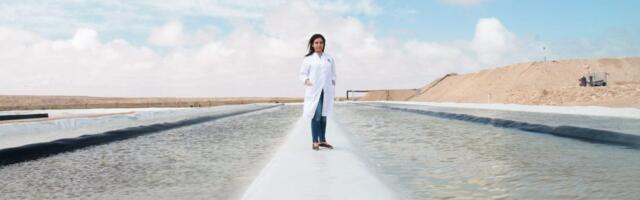 The startups harnessing the power of algae