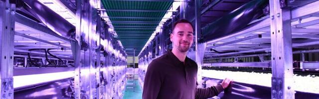 Insides Europe’s largest vertical farm, growing a tenth of Lithuania’s salad