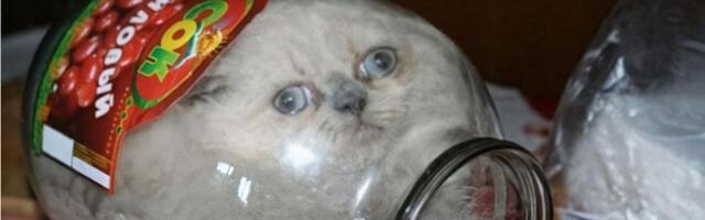 Как испортить ПО до начала разработки? Вредные советы планирования