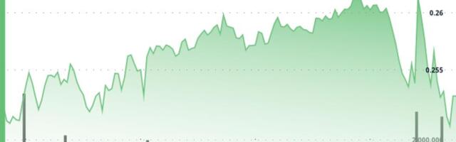 Stellar Slips as Key Support Breaks, Signaling Mounting Bearish Momentum