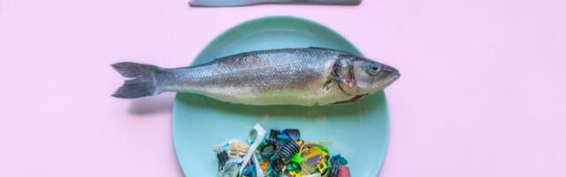 8 Foods That Are More Likely to Contain Microplastics