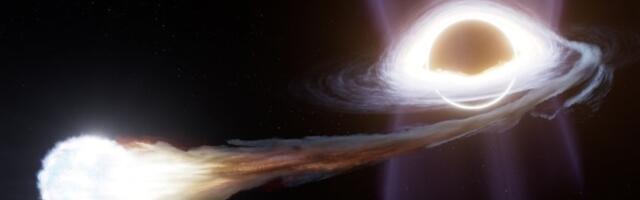 A star may have survived partial black hole spaghettification