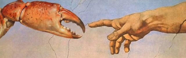 Уроки Moltbook: как ИИ зарабатывают миллионы, а нас не пригласили