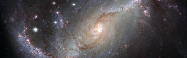 Astronomers want your help hunting for asteroids