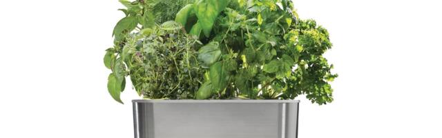 No Outdoor Space? AeroGarden Lets You Grow Fresh Greens Indoors for Just $60, Lowest Price Ever