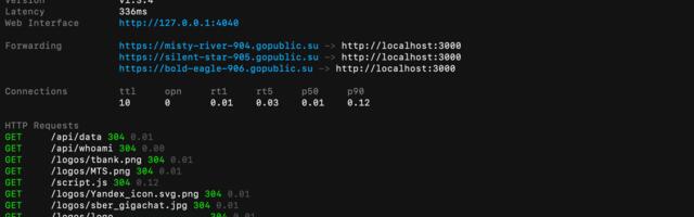Написал свой ngrok за 10 часов (Antigravity + Claude Code)