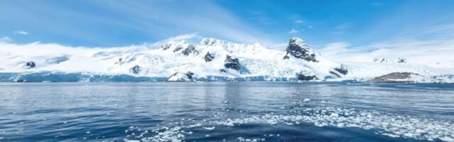 Sharks Have Officially Reached Antarctica, and Scientists Are Shook