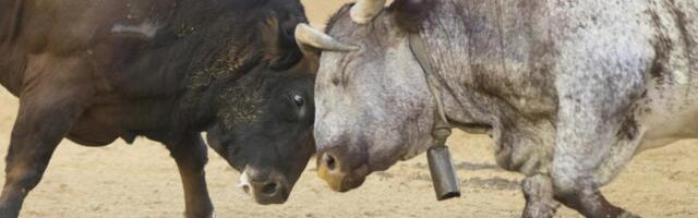 Bulls face a test unlike anything in bitcoin's 17-year history