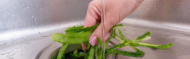 5 Signs It's Time To Replace Your Garbage Disposal