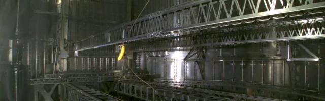 Why was a piece of fruit floating inside Starship on its sixth test flight?