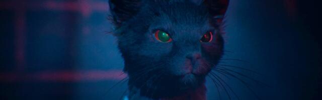 Patrice Désilets has unveiled 1666: Amsterdam, which includes with some very angry looking cats