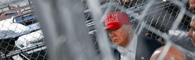 Trump is making Americans like immigrants again