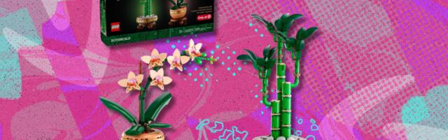 Score 30% off the Target-exclusive Lego Botanicals Evergreen Collectors Set