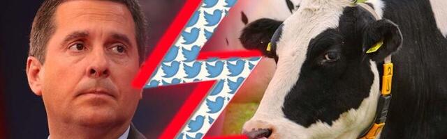 Trump’s censorship czar for TRUTH social media once sued a cow over Twitter beef