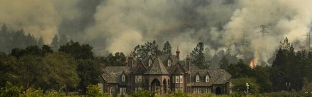 Wildfires can make your California red wine taste like an ashtray. These scientists want to stop that