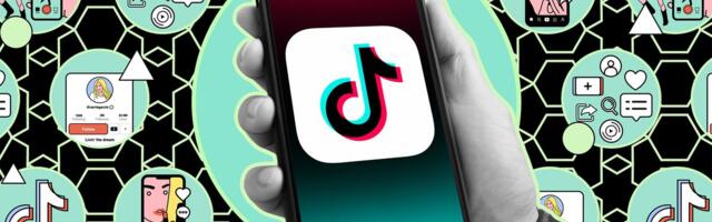 How to bulk save your TikTok videos