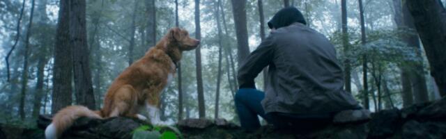 ‘Good Boy’ Brings Its Horrors and Canine Heroics to Shudder Next Week
