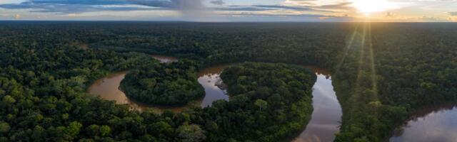 Berlin-based GreenTrade scores fresh funding to build nature-based carbon carbon credits and impact claims marketplace