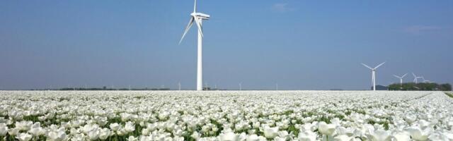 The Netherlands is the ideal breeding ground for green tech startups