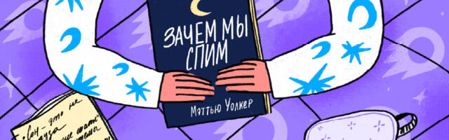 Сколько спит тимлид?