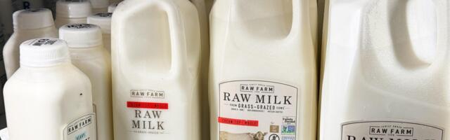 The new fight over raw milk, explained