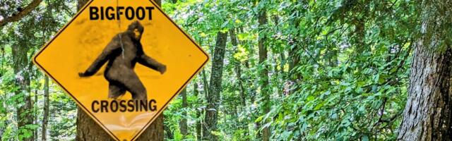 The creepiest urban legend from every state