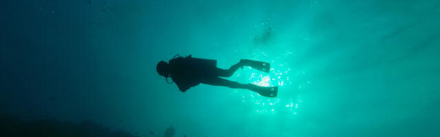 The Ancient Egyptian Military Shipwreck That Will Take Us Hundreds Of Years To Explore