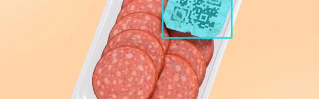 YOLOE: детектим что угодно без дотренировок